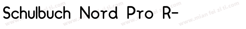 Schulbuch Nord Pro R字体转换
